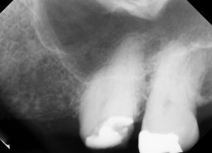 Endodontist 07601